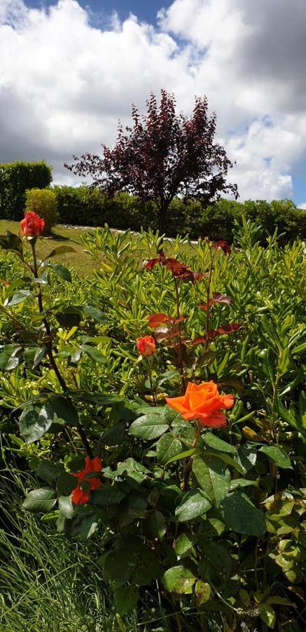 Bed and Breakfast Ca Rosanna Rocca San Felice Exterior foto